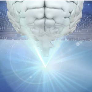 Neuroscience Studies